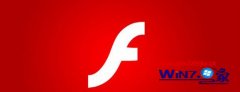 win7ϵͳflash360滻iE޷flashϸ?