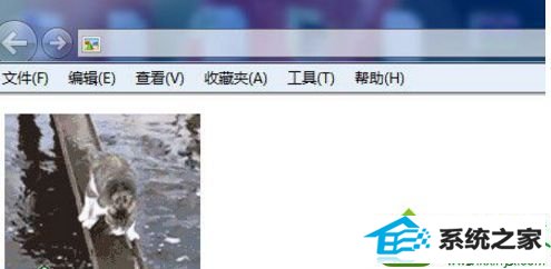 win10系统看不了GiF图片两种解决方法 win10系统看不了GiF图片的解决方法