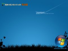 ľwin10 64λϻv2025.05