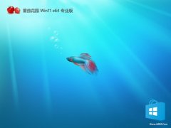 ѻ԰⼤win11 64λʼv2025.05