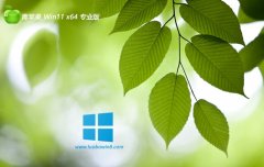 <font color='#339900'>ƻϵͳwin1164λǿʽv2025.04</font>