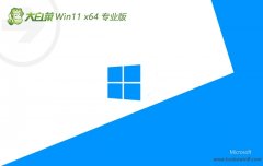 <font color='#CC0000'>ײ⼤win11 64λȶذv2025.05</font>