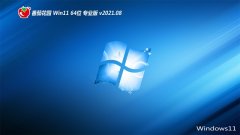 ѻ԰Windows11 64λ ׼װ 2021.08