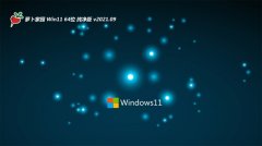 ܲ԰Windows11 64λ רҵ 2021.09